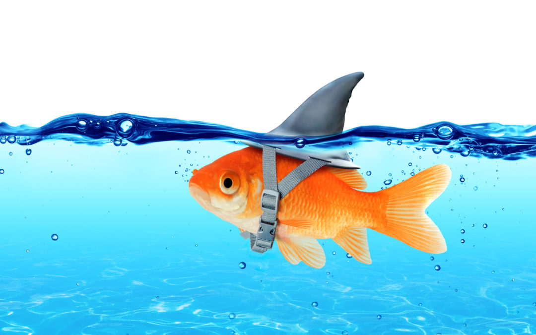 21 Ways to Recognize Inflated or Fake Resumes to Avoid Faulty Hires