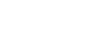 Flashii white logo