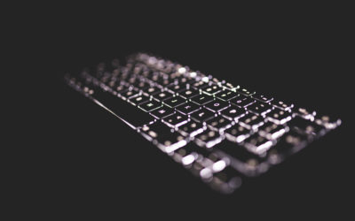 Data Scientist require Python knowledge?
